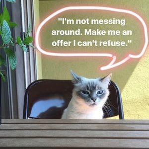 Make me an offer : ) I love bundles!